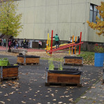 Der Schulgarten im Herbst