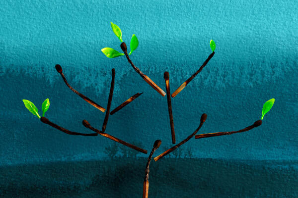 Ein Baum aus Streichhölzern aus denen neue Blätter sprießen