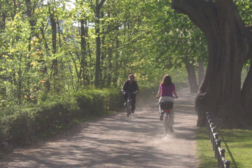 Bild © Hugo Walser Geh-/Radweg Hallerwiese, Bild © Hugo Walser
