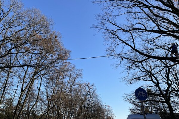 Eichhörnchenbrücke über der Eichendorffstraße