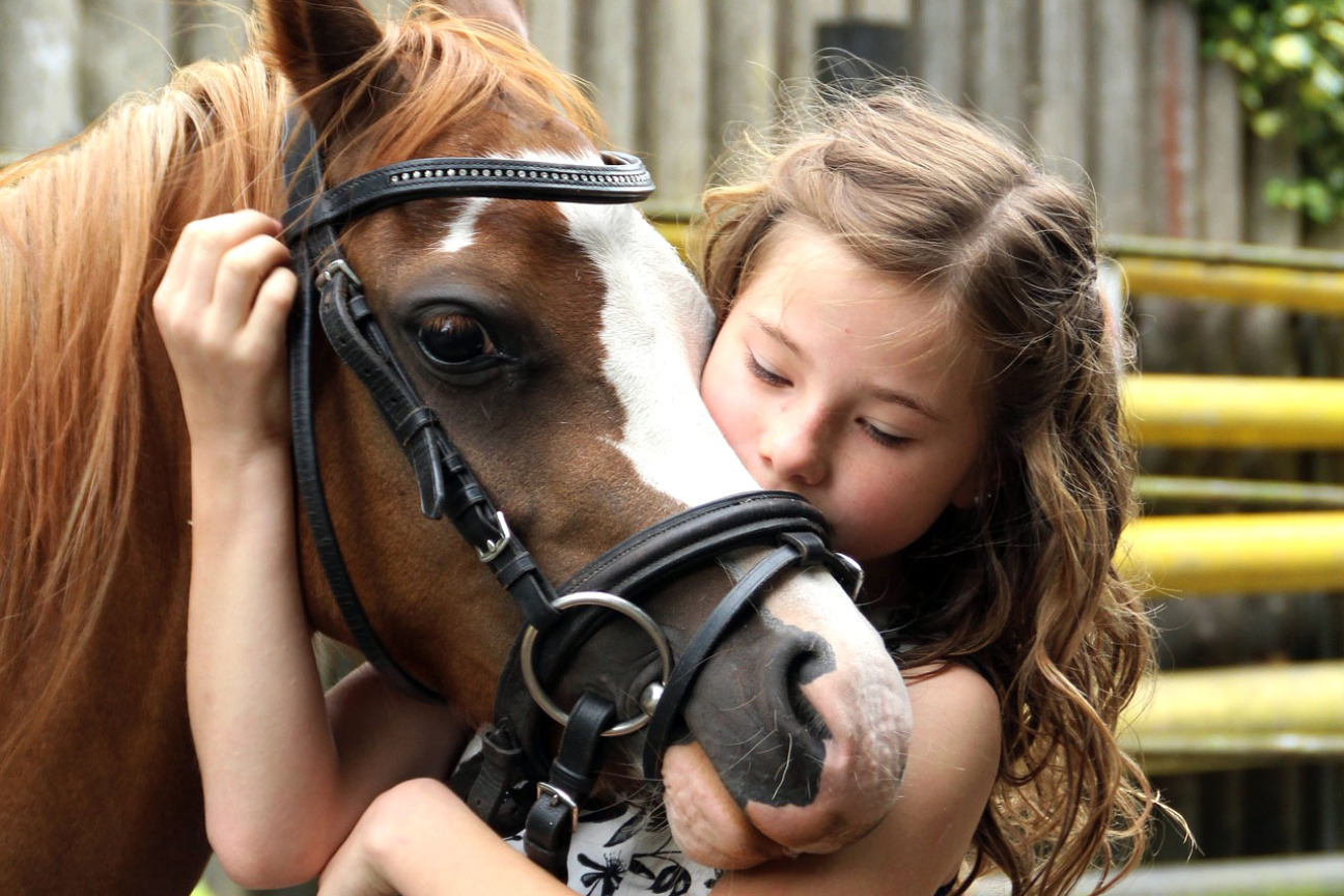 Bild © Bild: pixabay Kleines Mädchen mit einem Pony., Bild © Bild: pixabay