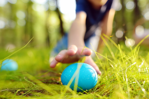 © Maria Sbytova / AdobeStock Ein kleiner Junge findet ein blau gefärbtes Osterei in der Wiese. © Maria Sbytova / AdobeStock