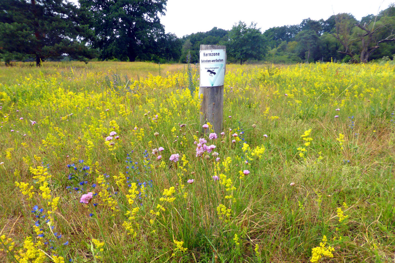 Bild © Martina Zagel / Stadt Nürnberg Kernzonenschild im Naturschutzgebiet Hainberg., Bild © Martina Zagel / Stadt Nürnberg