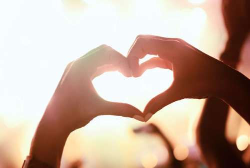 © ANDOR BUJDOSO / AdobeStock Hände in Herzform bei einem Musik Festival. © ANDOR BUJDOSO / AdobeStock