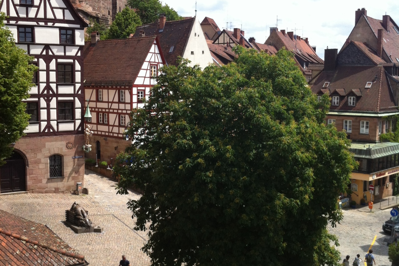 BfNS Kastanie Albrecht Dürer Platz