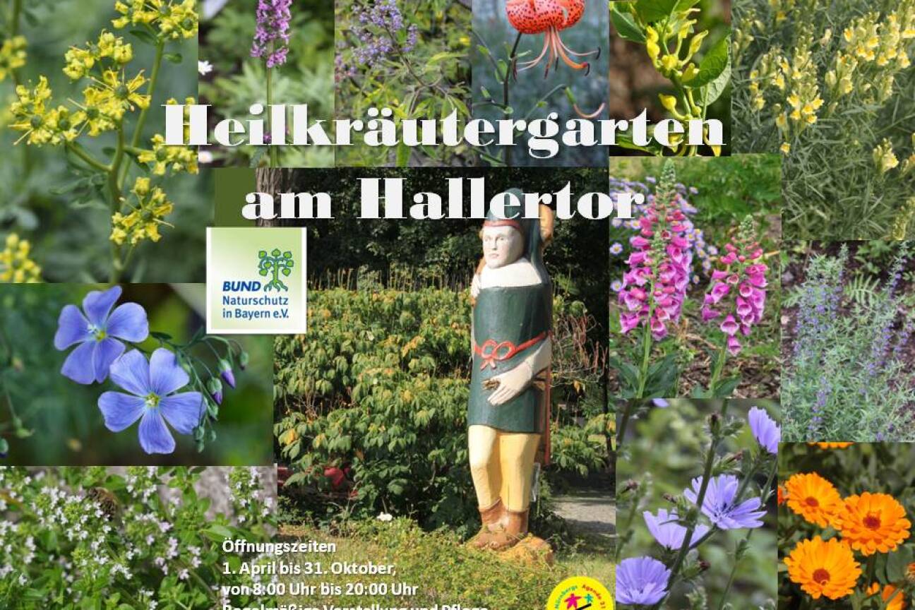 Heilkräutergarten Am Hallertor, Collage, Bild © Kazumi Nakayama