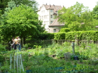 Bauerngarten Hummelsteiner Park 