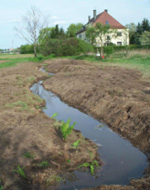 Renaturierter Bachabschnitt © Projektgruppe "Die Stadt und ihre Bäche"