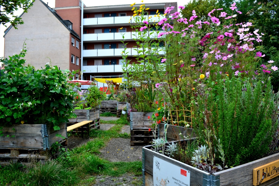 Sebalder Hofgärtchen Urban Gardening Beet