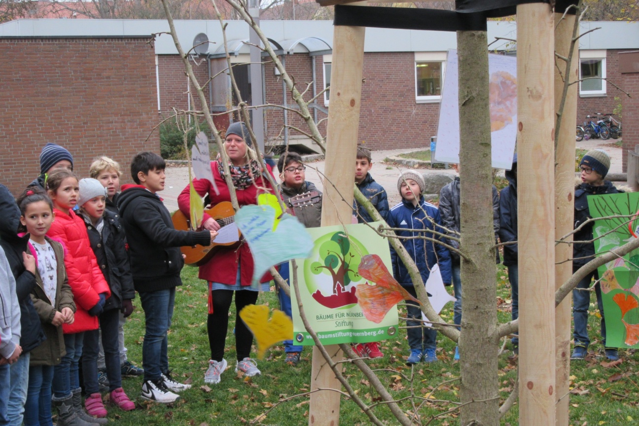 neuer Ginko an der Grundschule Insel Schütt, Bild © Mathias Schmidt