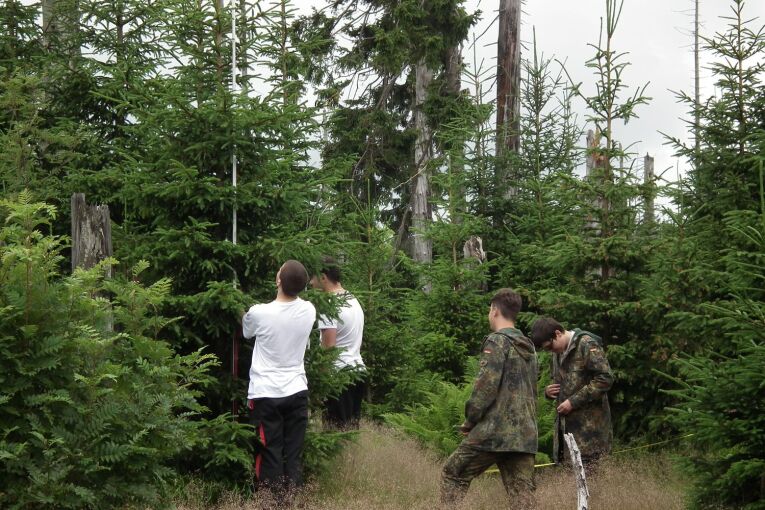 Bestandsaufnahme im Bayerischen Wald