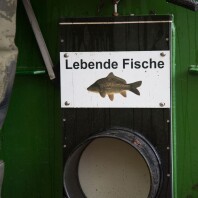 … und die lebenden Fische an den Main-Donau-Kanal befördern, 