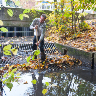 ( Bild: Christine Dierenbach / Stadt Nürnberg ) Der Martin-Behaim-Rechen in der Nähe der Meistersingerhalle