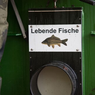 ( Bild: Christine Dierenbach / Stadt Nürnber ) … und die lebenden Fische an den Main-Donau-Kanal befördern,