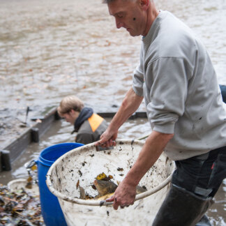 ( Bild: Christine Dierenbach / Stadt Nürnberg ) Die Fische landen in Bottichen, werden den Weiherdamm hoch zu ei