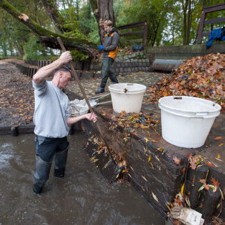 ( Bild: Christine Dierenbach / Stadt Nürnberg ) Im Wasser schwimmendes Laub verstopft schnell den Ablauf.