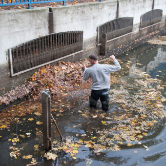 ( Bild: Christine Dierenbach / Stadt Nürnberg ) Und auch hier gilt: Laub, das den Ablauf verstopfen könnte, mus