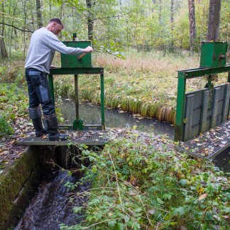 ( Bild: Christine Dierenbach / Stadt Nürnber ) Das „Steinerne Wehr“ im Reichswald südlich des Valznerweihe