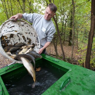( Bild: Christine Dierenbach / Stadt Nürnber ) ... wo sie in einem mit Sauerstoff beatmeten Wassertank eine vo