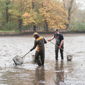 ( Bild: Christine Dierenbach / Stadt Nürnberg ) In der trüben Brühe sind die Fische nicht zu sehen.