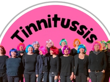 Das Bild zeigt 15 Personen mit bunten Perücken auf dem Kopf. Alle Personen haben dunkle Kleidung an. Die Personen stehen vor einem rosa·farbenen Halb·kreis im Hintergrund. In dem Halb·kreis steht in schwarzer Schrift: Tinnitussis.