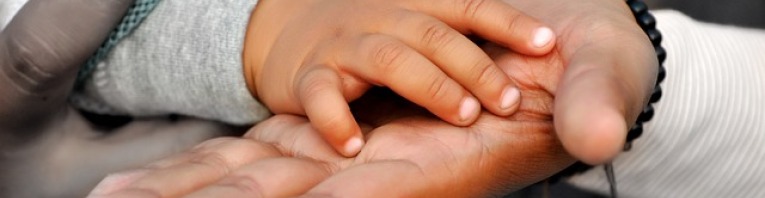 Das Bild zeigt Hände eines Elternteils und die eines Kindes.