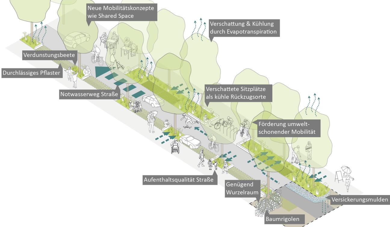 Idealtypischer multi-codierter Straßenraum, Bild © BlueGreenStreets Toolbox – Teil A. Multifunktionale Straßenraumgestaltung urbaner Quartiere, März 2022, Hamburg / Stadt Nürnberg