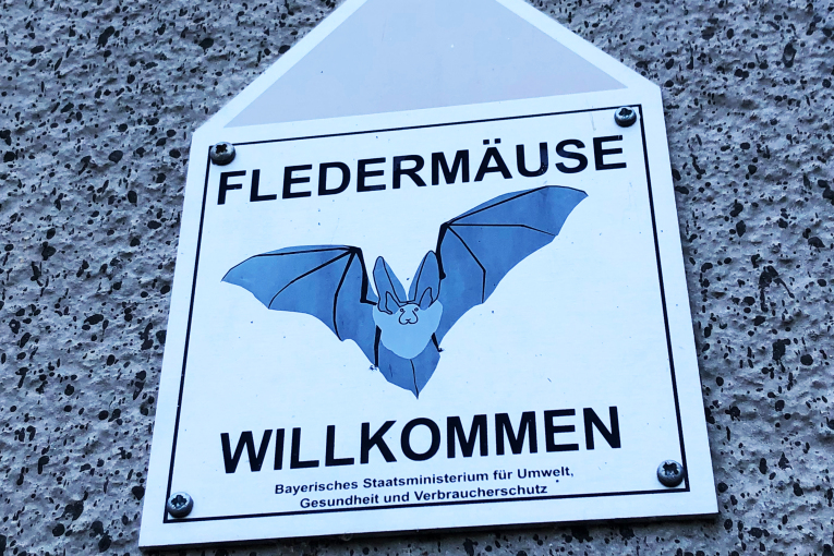 Plakette "Fledermäuse willkommen" an der Außenmauer der Kongresshalle