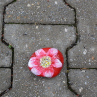 Stein mit Blume