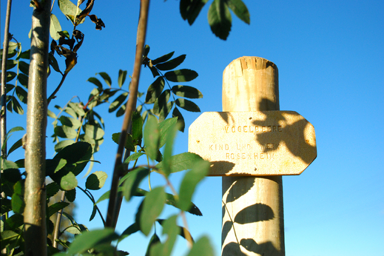 Herbstpflanzung