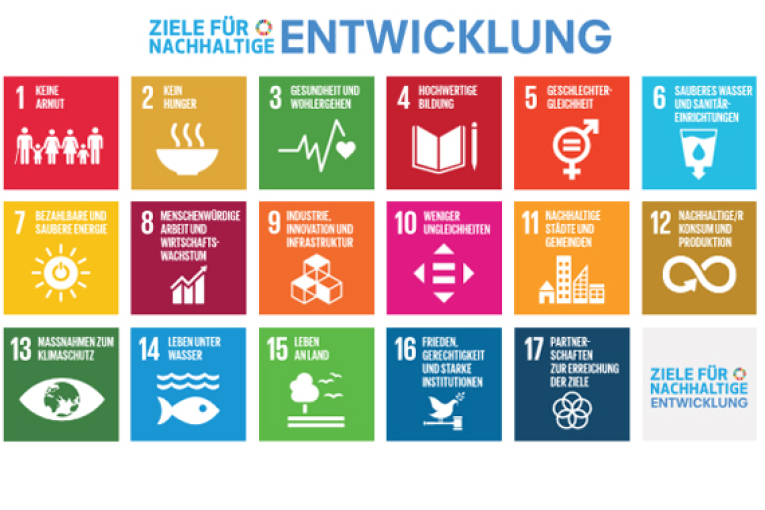 Sustainable Development Goals