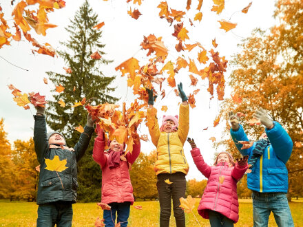 Das Bild zeigt 5 Kinder im Herbst auf einer Wiese. Die Wiese ist in einem Park. Die Kinder werden bunte Blätter in die Luft.