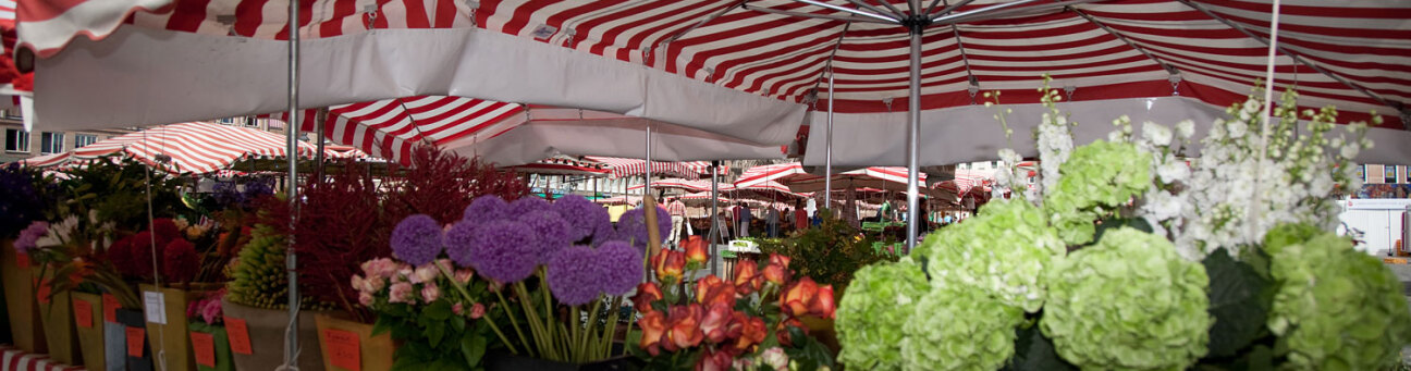 Stände am Hauptmarkt, Bild © Birgit Fuder