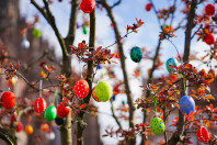 Farbig bemalte Ostereier, die an einem Baum aufgehängt wurden.