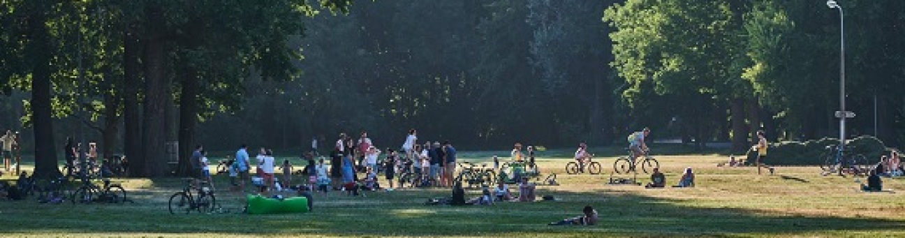 Wöhrder Wiese im Sommer, Bild © Gerhard Illig / Stadt Nürnberg