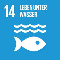 SDG 14 Leben unter Wasser