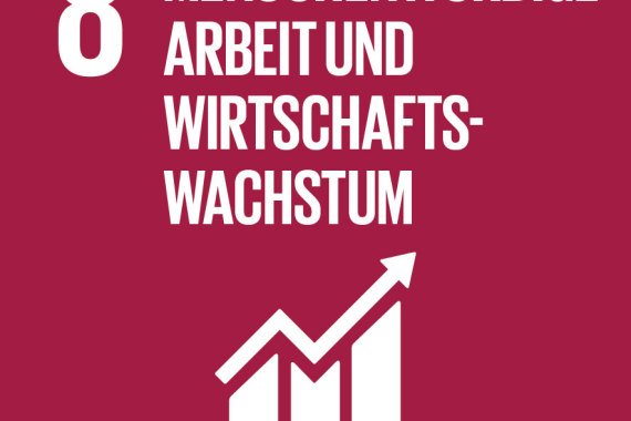 SDG 8 menschenwürdige Arbeit und Wirtschaftswachstum