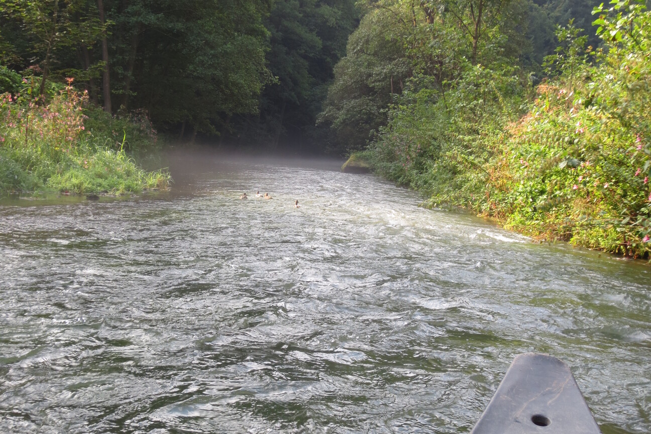 Kanufahrt mit Jugendlichen auf der Pegnitz