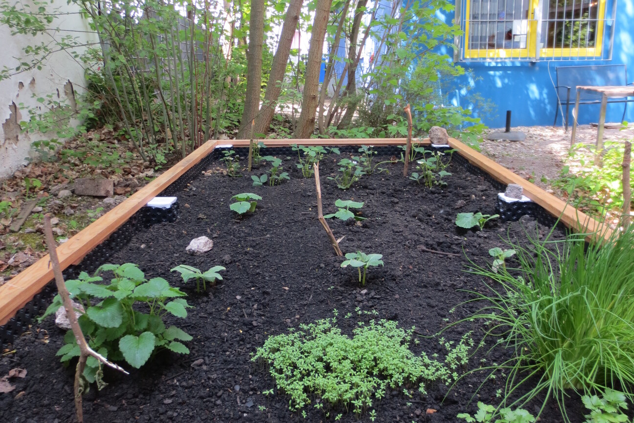 Das Hochbeet im Garten der Oase, Bild © Bild: Stadt Nürnberg