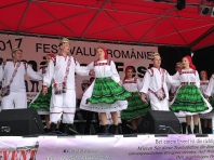 Bild vom deutsch-rumänischen Sommerfest 2017