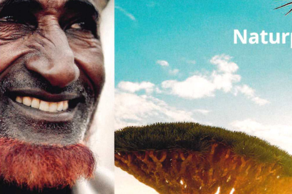 Flyer zur Ausstellung "Soqotra - Naturparadies zwischen Tradition und Moderne"