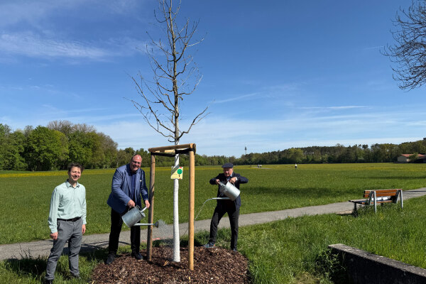Sör-Stadtbaummanager Florian Demling befestigte am Dienstag, 28. April 2026, gemeinsam mit dem Bürgermeister und Ersten Sör-Werkleiter Christian Vogel und dem Spender Dr. Manfred Scholz das Spendenschild am Baum in der Koppenhofer Straße (v.l.n.r.). Die neu gepflanzte Rot-Eiche wurde dabei symbolisch mit frischem Wasser aus der Rednitz getauft.