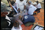 Bild Fachleute führen einen Check-up bei einem Amazonas-Flussdelfin am Tefé-See durch. Vor Ort sind unter anderem Experten von der National Marine Mammal Foundation.