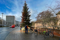 Bild Klimaaktivisten haben am Mittwoch, 13. Dezember 2023,  den großen Weihnachtsbaum der Stadt Nürnberg am Bahnhofsvorplatz mit Farbe attackiert. Der Baum soll wie geplant bis circa Mitte Januar stehen bleiben.