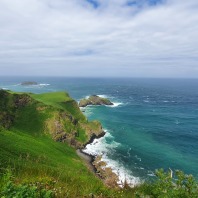 Bild des Ausflugsziels Giant's Causeway