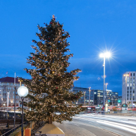 Weihnachtsbaum