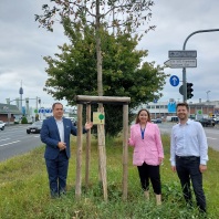 Sör-Baummanager Florian Demling mit Mihriban Kapar, Sales Representative Outdoor, und Jörg Löhner, Manager Sales bei DSV Air & Sea beim gespendeten Baum in der Nopitschstraße