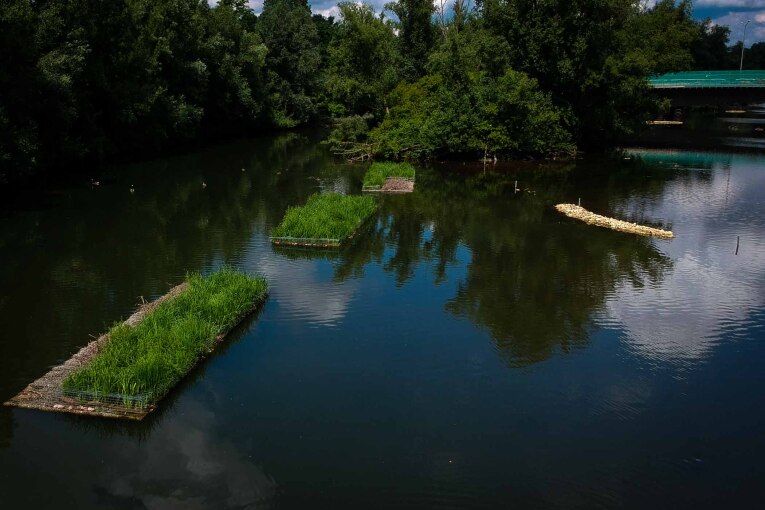 Schwimminseln mit Bäumen im Hintergrund