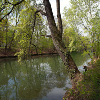 Westlich der Altstadt fließt die Pegnitz durch die Grünanlagen Hallerwiese und Kontumazgarten.