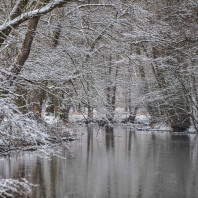 Im Winter geht es im Pegnitztal Ost meist etwas ruhiger zu.